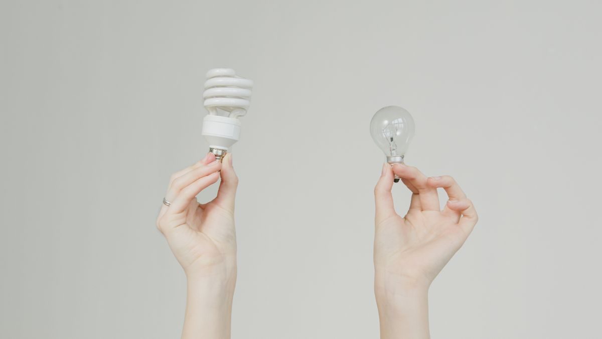 Hands hold incandescent and spiral light bulbs